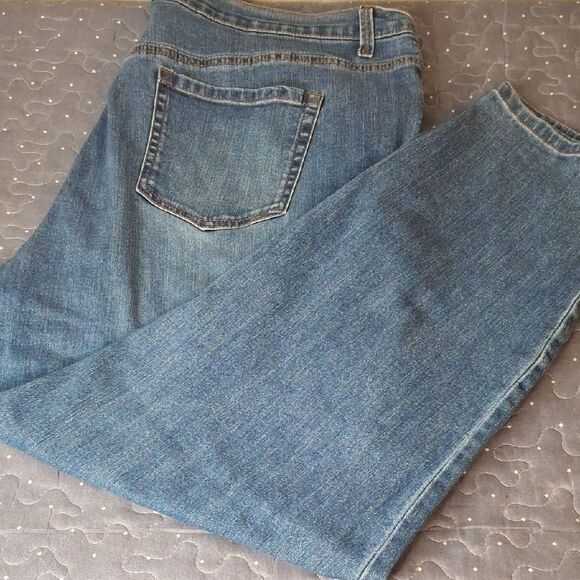 Gloria Vanderbilt Embroidered Classic Blue Denim Jeans size 20W - Picture 1 of 7